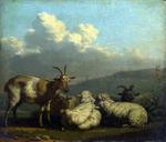 欧洲12-19世纪油画五_DUJARDIN, Karel - Sheep and Goats
